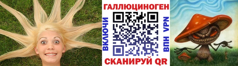 shop наркотические препараты MEGA ССЫЛКА Киреевск Галлюциногенные грибы прущие грибы